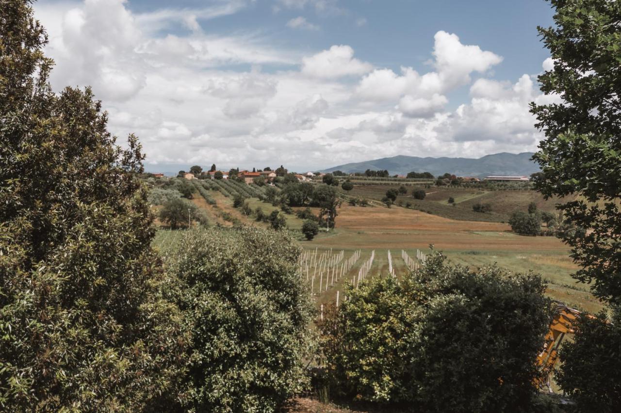 S.angelo * Foiano Della Chiana