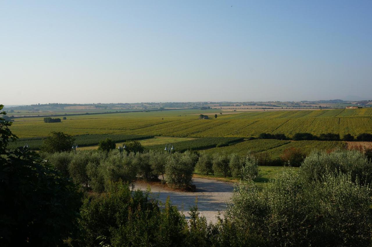 Séjour à la ferme S.angelo Foiano Della Chiana
